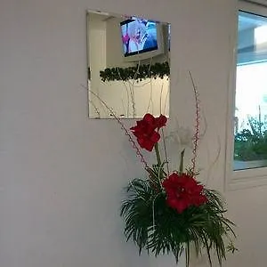Hotel Felsinea Rimini 3*,  Italien