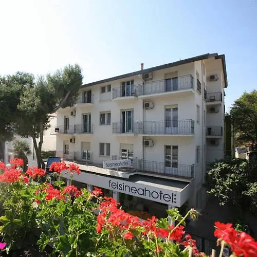 Hotel Felsinea Rimini