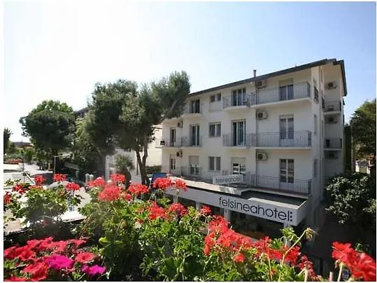 Hotel Felsinea Rimini